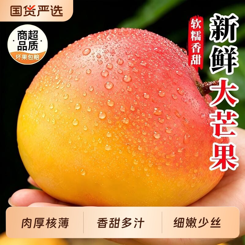 四川攀枝花凯特芒果新鲜水果9斤当季整箱包邮青芒果香甜多汁现摘