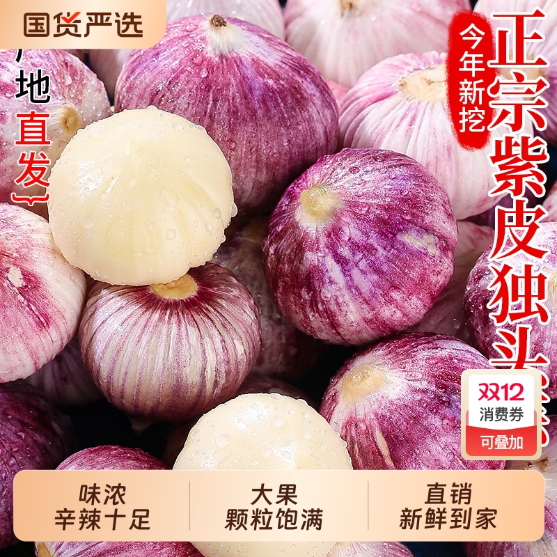 紫皮蒜独头蒜云南新鲜大蒜头