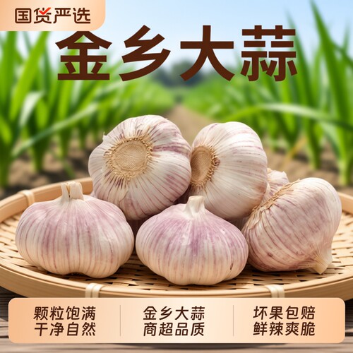新干蒜大蒜头不是独蒜是白皮多瓣蒜特大蒜新蒜足斤净重3斤5斤