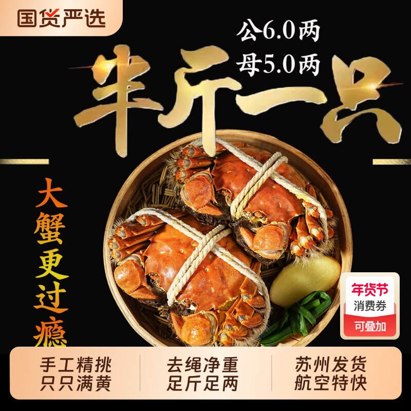 【特大蟹】10只现货大闸蟹鲜活螃蟹全母礼盒阳澄后荡湖官方旗河蟹
