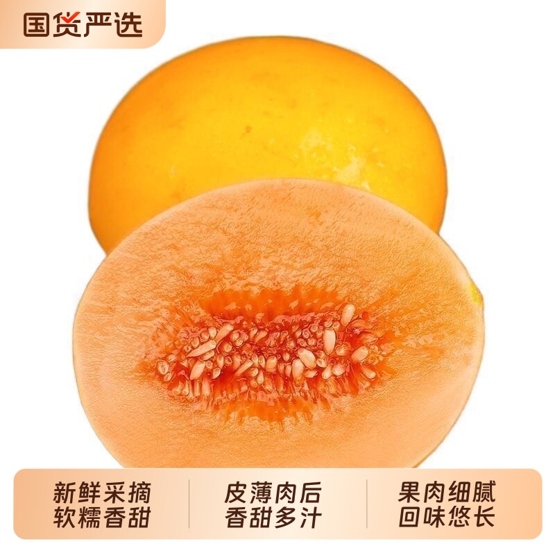 黄河蜜甜瓜民勤哈密瓜沙漠当季新鲜水果黄皮金冰淇淋蜜瓜香瓜正宗