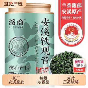 新茶铁观音浓香型高山安溪1725乌龙茶叶散装 500g兰花香香韵罐装