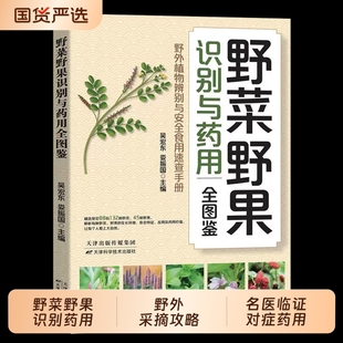 野菜野果识别与药用全图鉴正版实用读本常见图鉴高清精编野外植物认采百科指南实用手册养生保健对症食疗书籍中草药食用新编医学