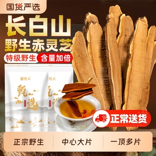 野生灵芝片500g切片长白山正品紫赤灵芝孢子粉养生茶泡水酒整朵