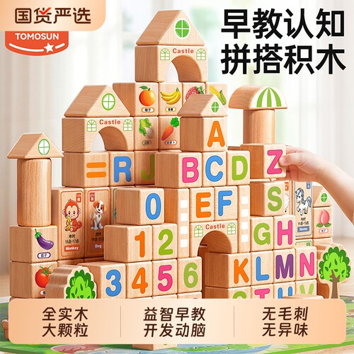 实木积木儿童益智力3d立体大颗粒拼装玩具3到6岁宝宝开发大脑早教