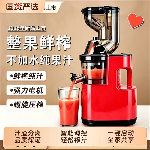 双出口汁渣分离榨汁器