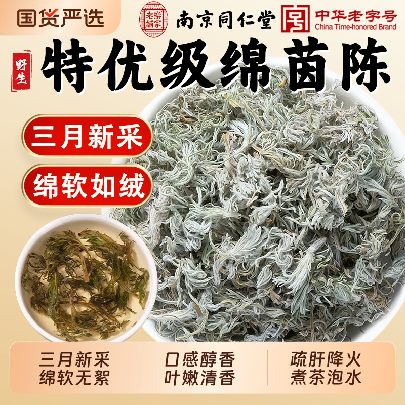 南京同仁堂野生棉茵陈中药材正品白蒿新鲜整株棉茵陈三月嫩茵陈蒿