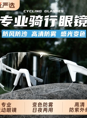 黛欧妮娅高清变色防雾骑行眼镜
