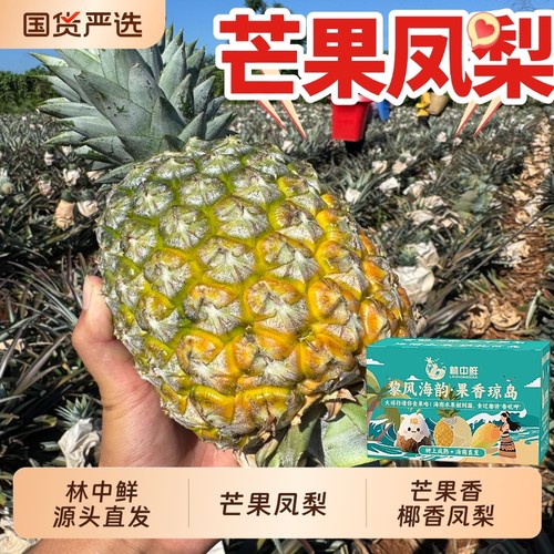 礼盒彩箱海南芒果凤梨8斤手撕金钻风梨冬蜜香水大菠萝自然熟应季