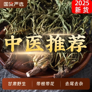 蒲公英中药材正品特级野生500g250g100克蒲公英茶干货散结茶全株