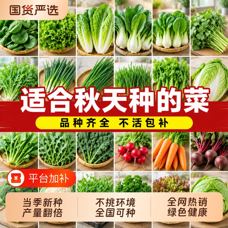 蔬菜种子有机老品种四季播种生菠香菜辣椒盆栽洋葱新鲜大葱水果