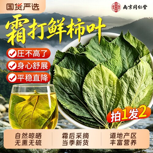同仁堂特级霜后干柿子叶茶正品