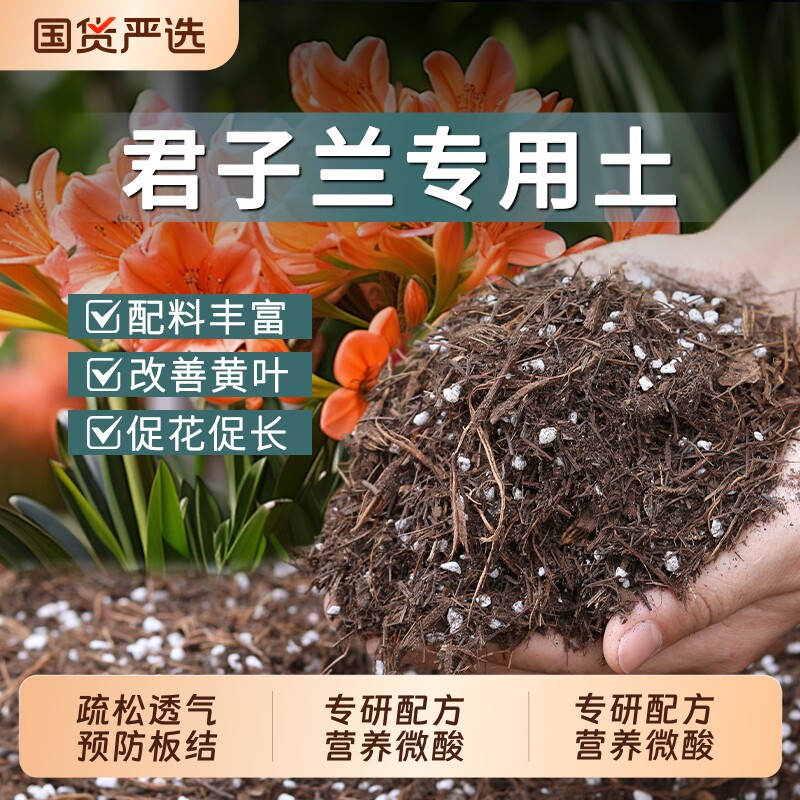 君子兰专用土发酵松针腐殖土山茶花卉通用腐叶颗粒营养土土壤酸性