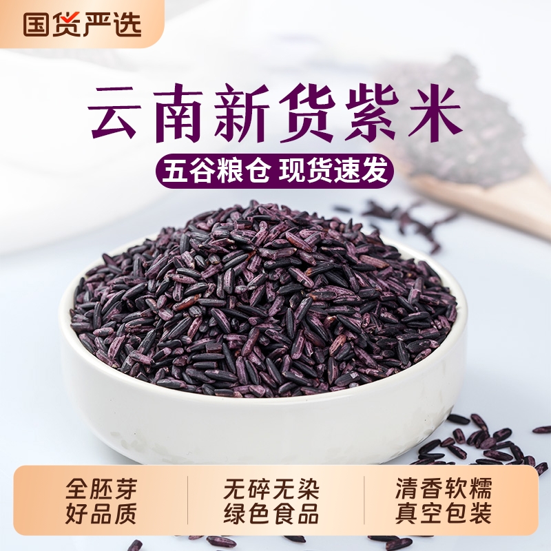 【正宗】紫米血糯米云南墨江2025年黑糯粽子米饭团材料500g血糯米