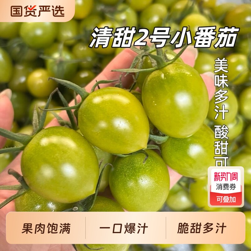 【胡鲜森】山东清甜2号小番茄圣女果青色绿色小柿子现摘整箱