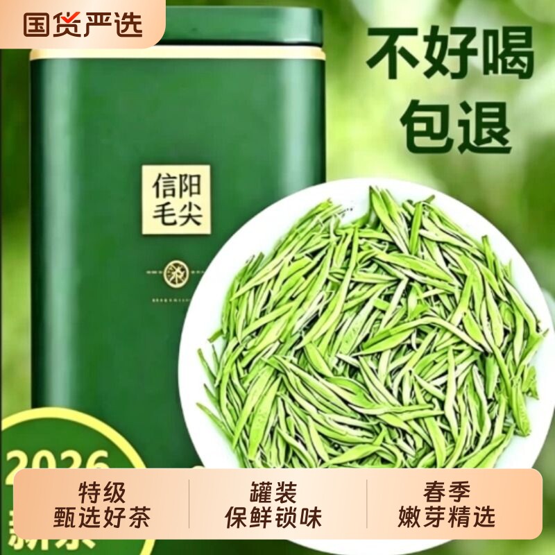 信阳毛尖2026新茶明前浓香型高山云雾绿茶叶特级嫩芽散装500g优选 - 实物图