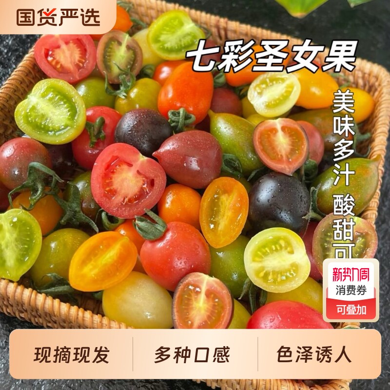 【胡鲜森】山东七彩小番茄新鲜现摘彩色圣女果酸甜多汁混合装水果