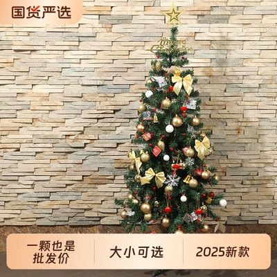 圣诞树2025款大小都有