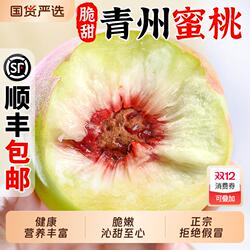 青州冬雪蜜桃5斤大毛桃新鲜水果当季正宗山东脆桃毛桃子现摘顺丰