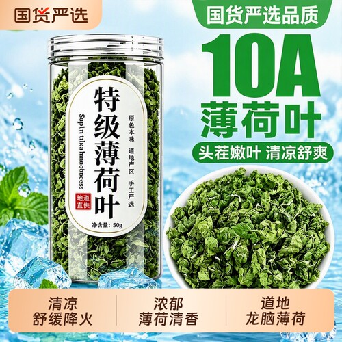 特级薄荷叶干纯薄荷茶新鲜可食用