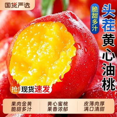 山东蒙阴红油桃新鲜水果新鲜当季脆甜现摘黄心蜜桃大桃子水蜜脆桃