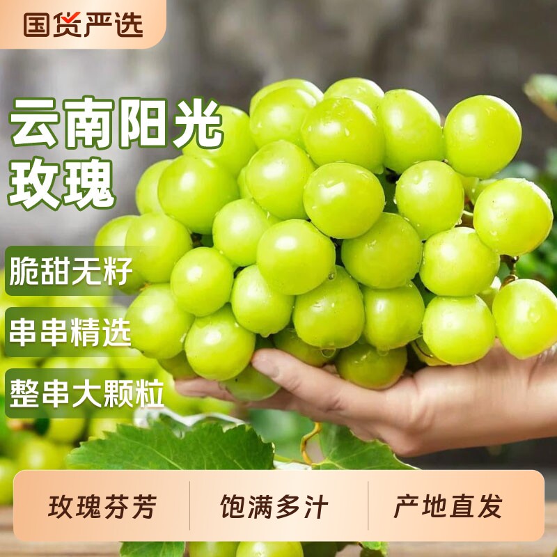 阳光玫瑰葡萄5斤当季无籽香印提子青提晴王新鲜水果京东大果自提