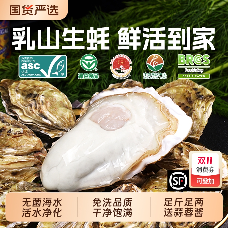 贝司令乳山鲜活生蚝净重5斤绿色品质食品海蛎子牡蛎新鲜高端海鲜