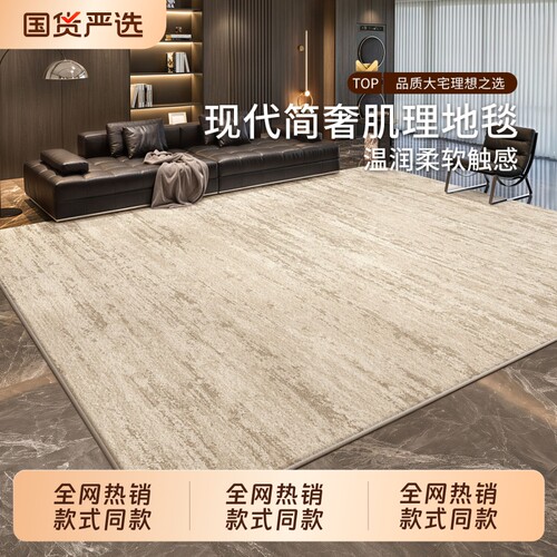 意式轻奢地毯客厅2026新款高级防水防污免打理免洗可擦沙发卧室垫