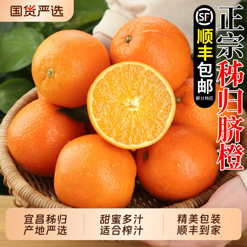 秭归脐橙鲜采顺丰包邮