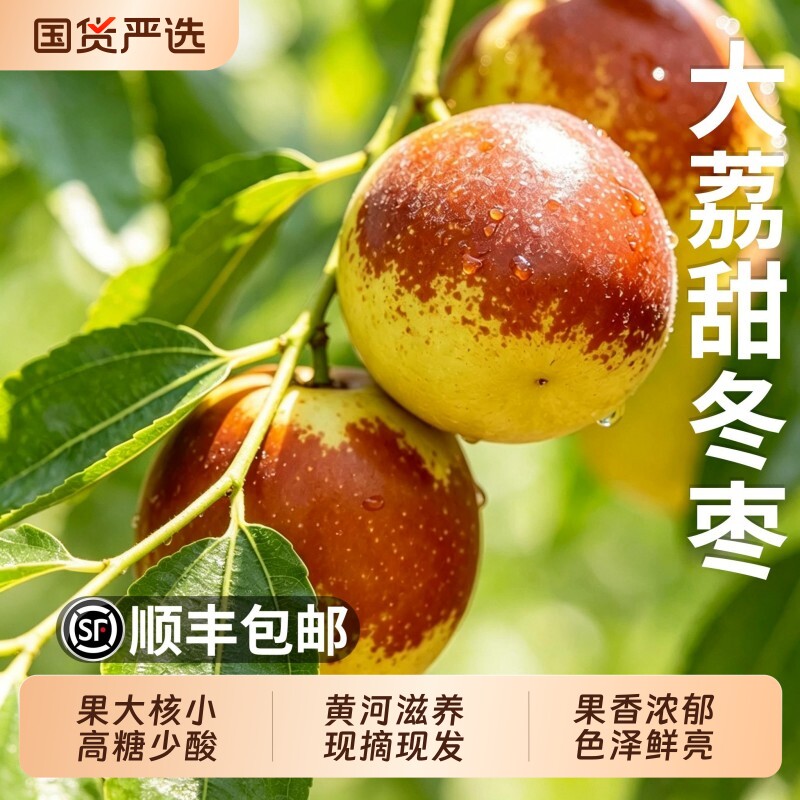 正宗陕西大荔冬枣5斤新鲜大枣当季整箱水果枣子脆枣鲜枣应季包邮3
