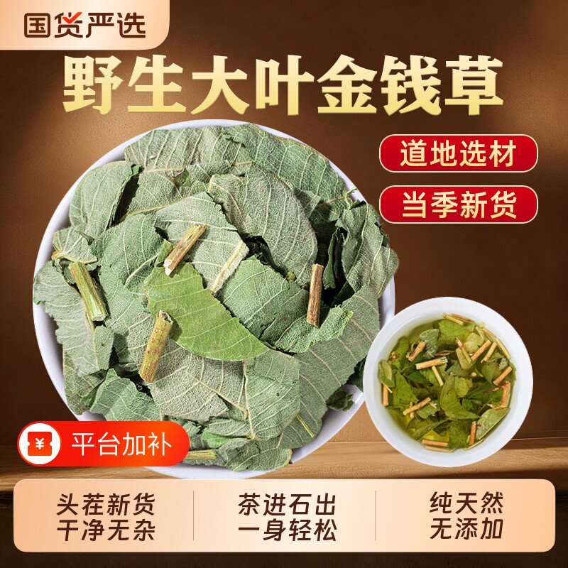 特级正宗金钱草中药材野生大叶肾结颗石粒茶进石出泡水喝正品新鲜