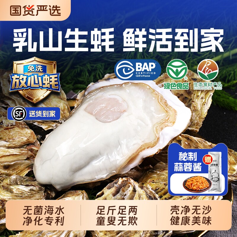贝司令乳山鲜活生蚝净重5斤绿色生态食品海蛎子牡蛎新鲜高端海鲜