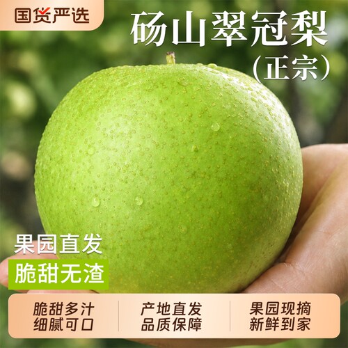 【正宗砀山青梨9斤装】脆甜多汁