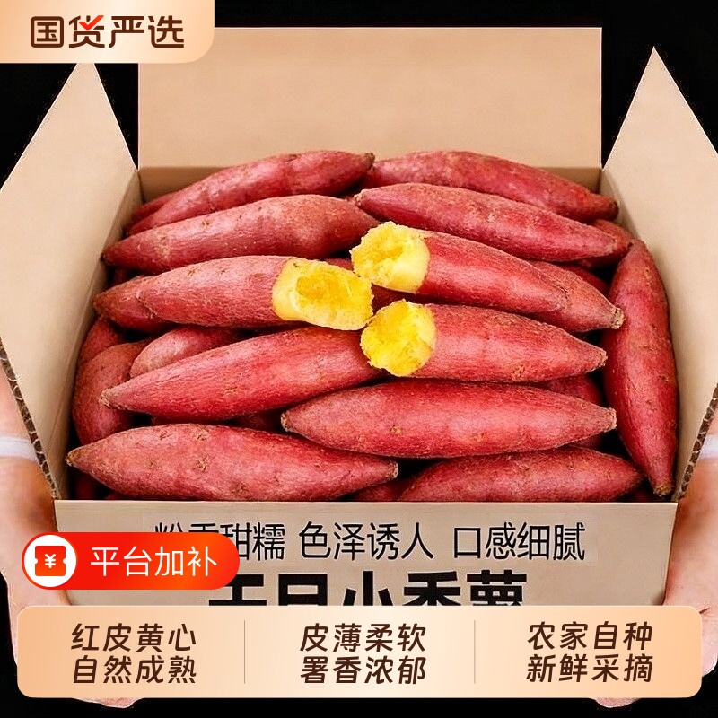 彩箱5斤装天目山小香薯新鲜板栗红薯沙地正宗农家小番薯蜜薯地瓜