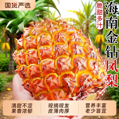 凤梨