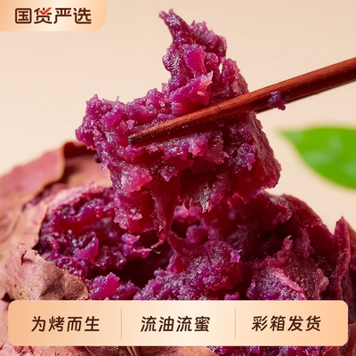 正宗泰紫薯1号紫薯紫帝姬黑美人蜜薯现挖紫水晶新鲜红薯番薯地瓜