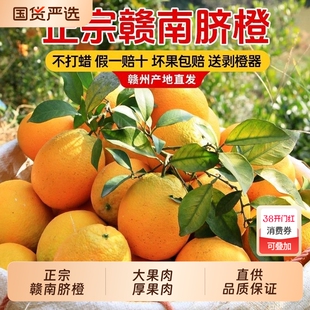 正宗橙子赣南脐橙新鲜采摘大果江西产地直发当季孕妇儿童水果榨汁