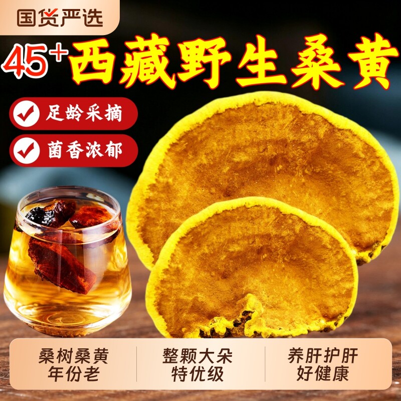 西藏野生桑黄中药材桑树桑黄特级45年+整朵桑黄灵芝泡茶养肝护肝图片