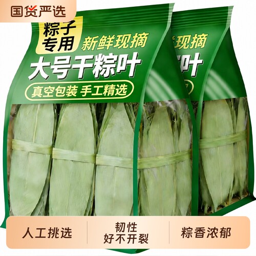 粽子叶干粽叶粽叶干大号棕叶新鲜包粽子的竹叶子商用箬叶批发现摘