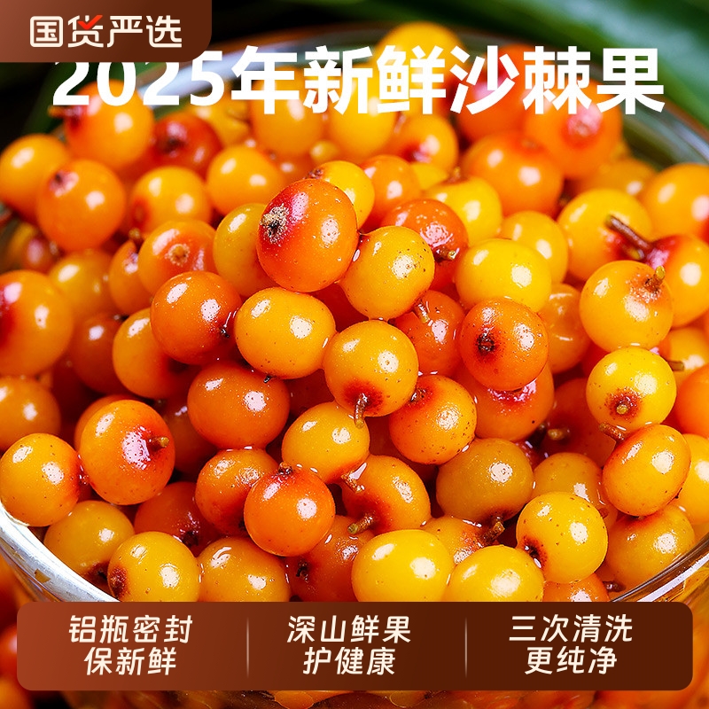 野生新鲜沙棘果包邮精选沙刺鲜果正品官方旗舰店原浆酵素榨汁