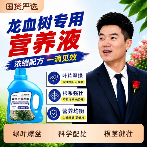 龙血树专用营养液治疗龙须树黄叶怎么养客厅绿植通用型水溶肥料