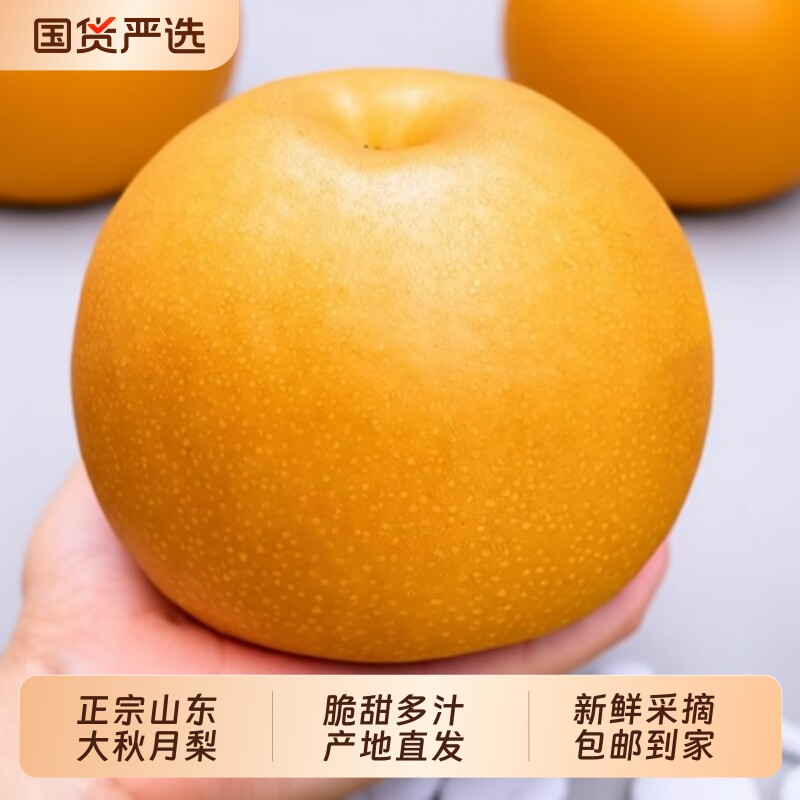 正宗山东烟台莱阳秋月梨新鲜水果冰糖雪梨子整箱10斤产地年货节