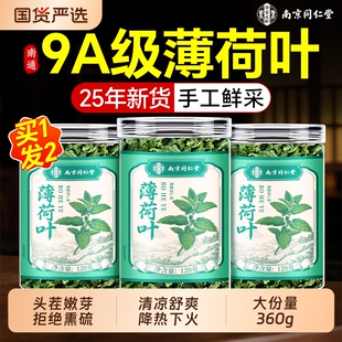 同仁堂薄荷叶干新鲜食用凉茶清热降火解去火毒泡茶下火养肝中药材
