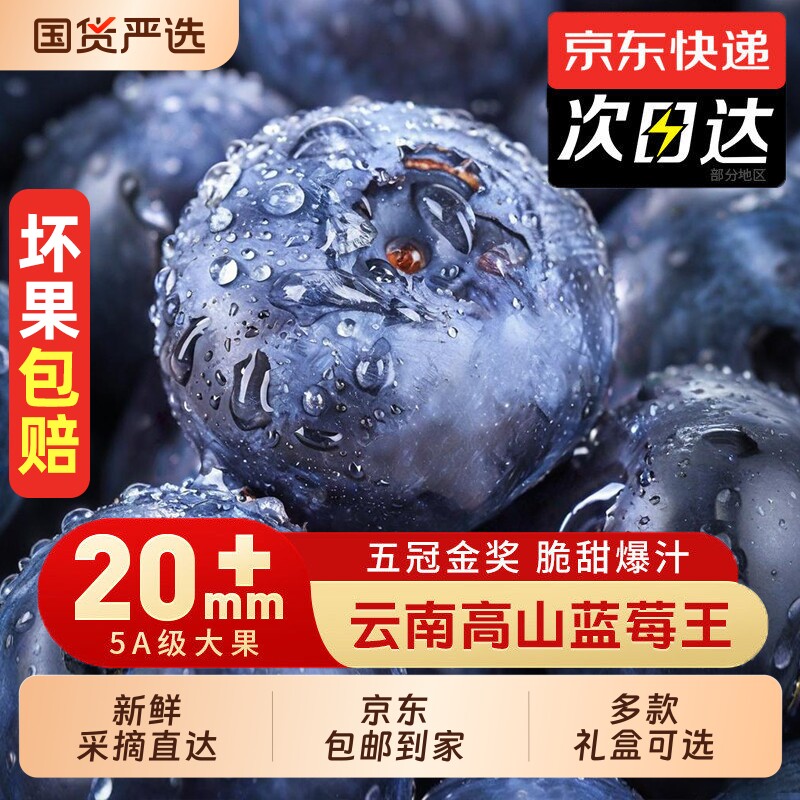 云南高山花香蓝莓特大果头茬鲜果新鲜水果当应季整箱京东包邮花香