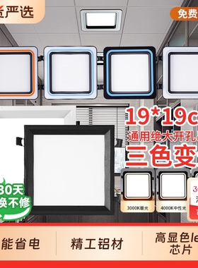 蜂窝小方灯大板19X19开孔黑色集成吊顶LED新款顶灯嵌入式方形吸顶