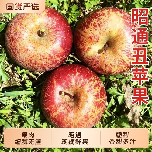 福瑞达9斤高山冰糖心丑苹果