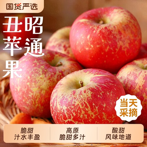 昭通丑苹果正宗冰糖心红富士新鲜