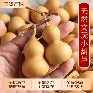 天然小葫芦文玩手捻小葫芦手把件带龙头胖墩精品野生葫芦迷你摆件