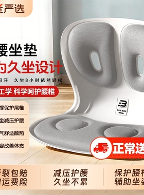 本博护腰坐垫腰部支撑靠垫久坐神器人体工学办公室靠背一体座姿椅