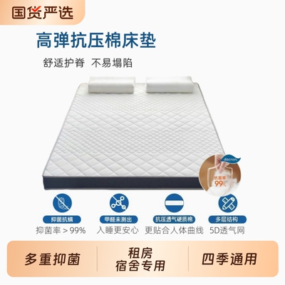 四季宿舍床垫家用卧室榻榻米软垫学生租房记忆垫子折叠压缩防水